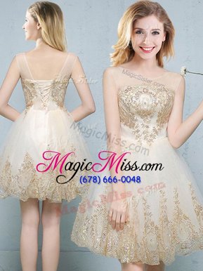 Amazing Scoop Sleeveless Tulle Mini Length Lace Up Quinceanera Court Dresses in Champagne for with Appliques