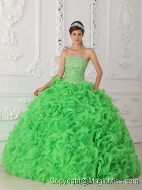 Green Ball Gown Strapless Floor-length Organza Beading Quinceanera Dress