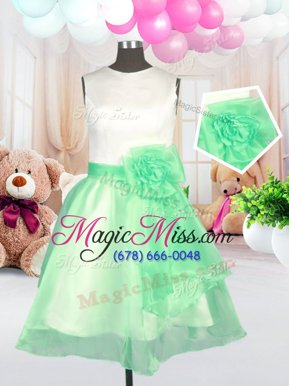 Amazing Scoop Apple Green Sleeveless Organza Zipper Toddler Flower Girl Dress for Military Ball and Sweet 16 and Quinceanera