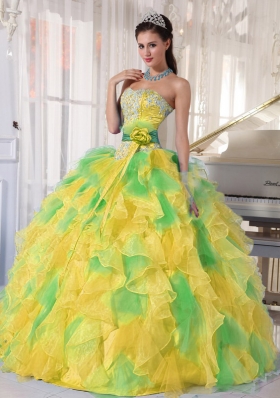 Ball Gown Appliques and Ruffles Organza Long Quinceanera Dress
