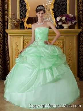 Apple Green Ball Gown Strapless Floor-length Organza Beading Ruch Quinceanera Dress