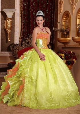 Spring Green Ball Gown Strapless Floor-length Organza Embroidery Plus Size Quinceanera Dresses