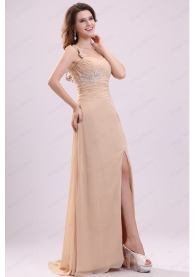 Champagne One Shoulder Mother of the Bride Dresses with Appliques and Beading