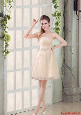 Sweetheart A Line Appliques Champagne   Dama Dress for 2015