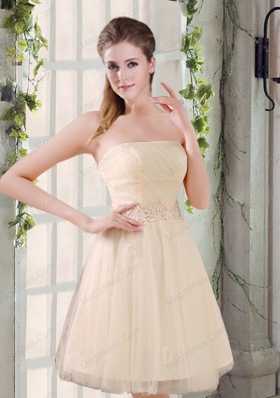 Strapless Appliques 2015 New Prom Dresses in Champagne