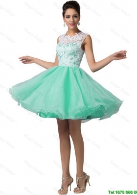 Elegant Lovely Laced Scoop A Line Prom Dresses in Apple Green