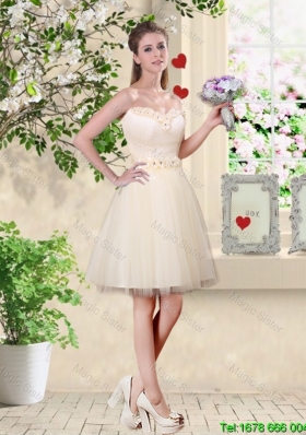 Popular A Line Champagne Bridesmaid Dresses with Appliques and Belt