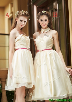 Best Selling Champagne Organza Bridesmaid Dress with Appliques and Sashes