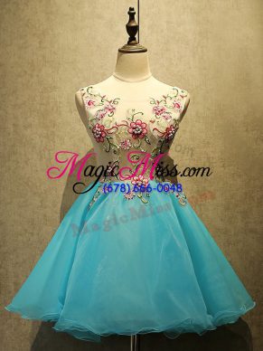 Edgy Baby Blue A-line Appliques Dress for Prom Lace Up Organza Sleeveless Mini Length
