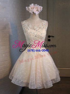 Amazing Champagne A-line Lace and Appliques and Belt Prom Evening Gown Lace Up Organza and Lace Sleeveless Mini Length