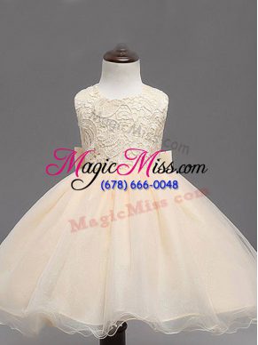Champagne Ball Gowns Lace and Bowknot Flower Girl Dresses for Less Backless Organza Sleeveless Knee Length