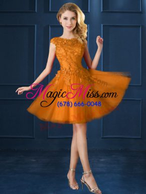 Lovely Bateau Cap Sleeves Quinceanera Court Dresses Knee Length Lace and Belt Gold Tulle