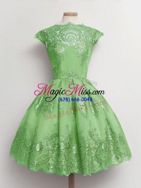 Pretty Tulle Lace Up Dama Dress for Quinceanera Cap Sleeves Knee Length Lace