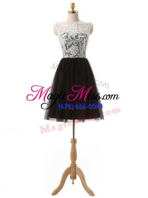 Exceptional Tulle Sleeveless Mini Length and Lace and Appliques