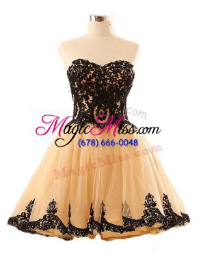 Sleeveless Appliques Lace Up Prom Gown