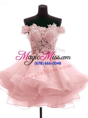 Captivating Pink Zipper Dress for Prom Lace and Appliques and Ruffles Sleeveless Mini Length