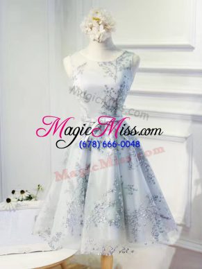 Fantastic Mini Length Grey Prom Dress Organza Sleeveless Lace and Appliques and Belt