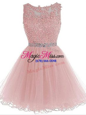 Chic Pink Sleeveless Organza Zipper Homecoming Dress for Prom and Party and Sweet 16