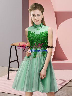 Customized Apple Green Tulle Lace Up Court Dresses for Sweet 16 Sleeveless Knee Length Appliques