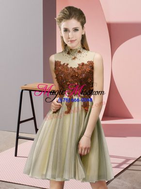 Gold Lace Up High-neck Appliques Bridesmaids Dress Tulle Sleeveless