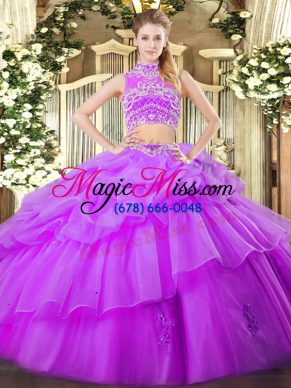 Ball Gowns Quinceanera Dress Eggplant Purple High-neck Tulle Sleeveless Floor Length Backless