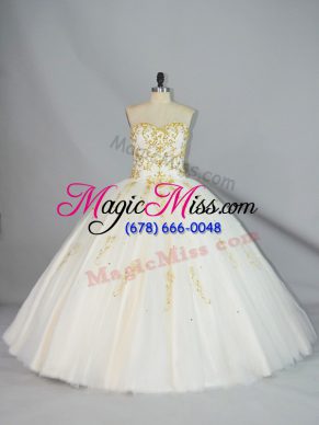 Delicate Floor Length Ball Gowns Sleeveless Champagne 15 Quinceanera Dress Lace Up