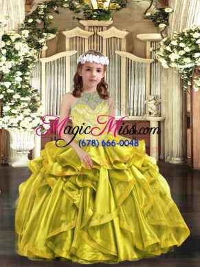 Organza Sleeveless Little Girl Pageant Dress and Beading and Ruffles