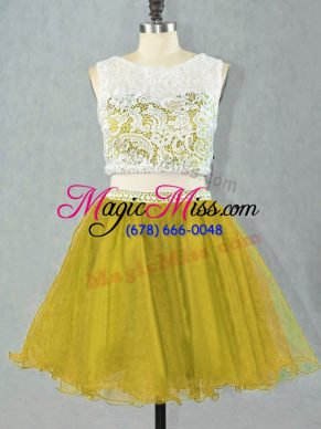 Olive Green Organza Zipper Prom Party Dress Sleeveless Mini Length Lace and Appliques
