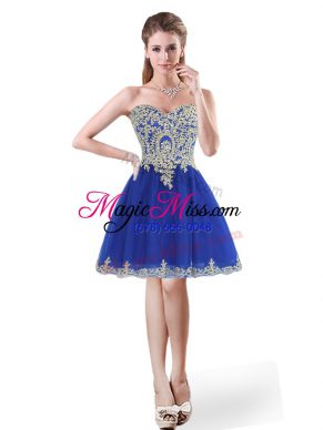 Hot Selling Royal Blue Sleeveless Tulle Lace Up Prom Dress for Prom and Party