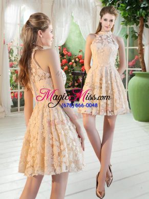 Noble Mini Length Champagne Prom Evening Gown High-neck Sleeveless Zipper