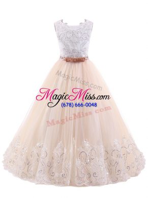 Custom Design Pink Sleeveless Brush Train Zipper Flower Girl Dress for Wedding Party
