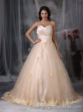 Beautiful A-line / Princess Sweetheart Brush Train Tulle Embroidery Wedding Dress