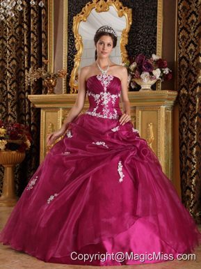 Fuchsia Ball Gown Strapless Floor-length Organza and Satin Appliques Quinceanera Dress