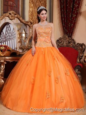 Orange Ball Gown Sweetheart Floor-length Tulle Appliques Quinceanera Dress