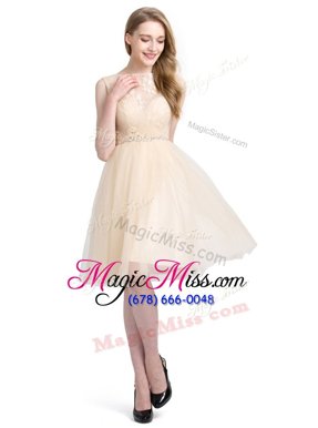 Gorgeous Bateau Sleeveless Tulle Evening Dress Beading and Lace Clasp Handle