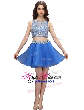 High End Blue Sleeveless Organza Zipper Dress for Prom for Prom and Party