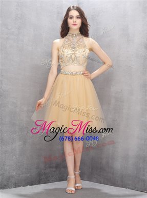 Super A-line Party Dress Champagne High-neck Tulle Sleeveless Knee Length Zipper