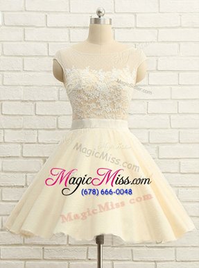 Beauteous Scoop Organza Cap Sleeves Knee Length Prom Dresses and Lace