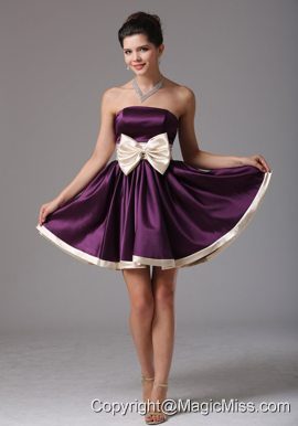 Beautiful Dark Purple Strapless Prom Dress With Sash Mini-length In Florida