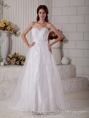 Magnificent A-line Sweetheart Brush Train Tulle Appliques Wedding Dress