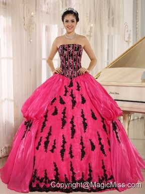 Hot Pink 2013 New Arrival Strapkess Embroidery Decorate For Quinceanera Dress In Montero
