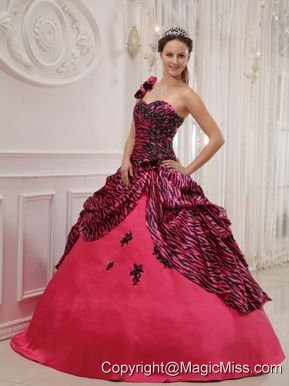 Hot Pink Ball Gown One Shoulder Floor-length Zebra or Leopard Appliques Quinceanera Dress