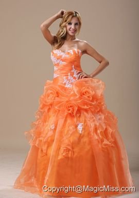 Michigan Appliques Decorate Up Bodice Orange With Hand Made Flowers Floor-length For 2013 prom / Pageant Dress