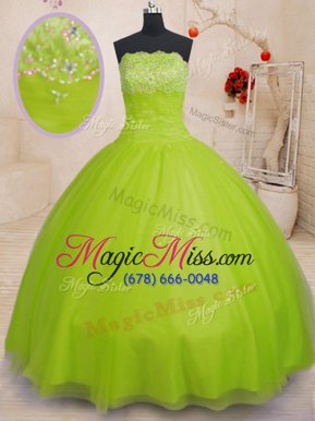 Artistic Sleeveless Lace Up Floor Length Beading Quinceanera Dress