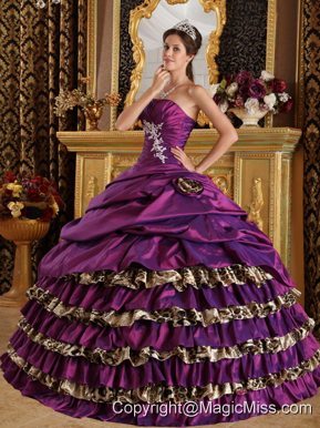 Purple Ball Gown One Shoulder Floor-length Taffeta and Leopard Appliques Quinceanera Dress