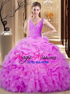 Discount Backless Organza Sleeveless Floor Length 15th Birthday Dress and Lace and Ruffles and Pick Ups