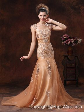 Brown Embroidery Square 2013 Prom Dress With Organza