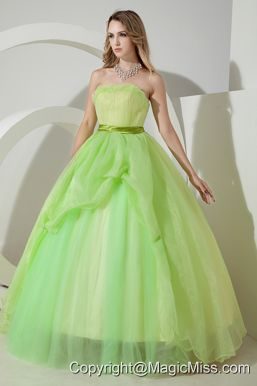 Spring Green A-line / Princess Strapless Floor-length Organza Beading and Embroidery Prom Dress