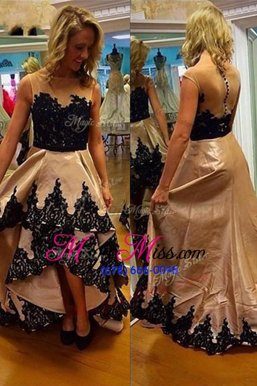 Low Price Champagne Zipper Bateau Lace Prom Party Dress Satin Sleeveless
