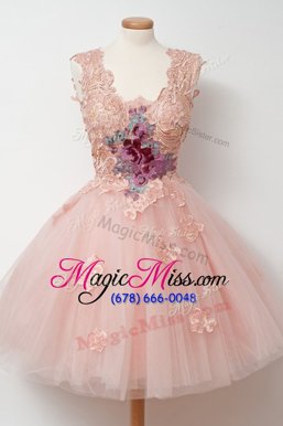 Lovely Sleeveless Zipper Knee Length Appliques and Embroidery Dress for Prom